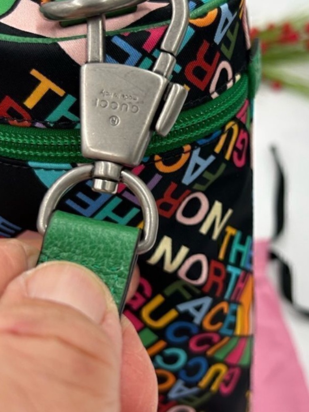 Gucci x Northface Multicolor Logo Barrel Crossbody Bag with Green Strap - Picture 3 of 9